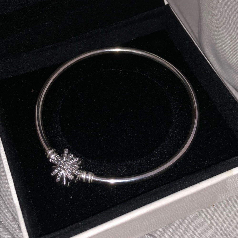 Pandora bracelet